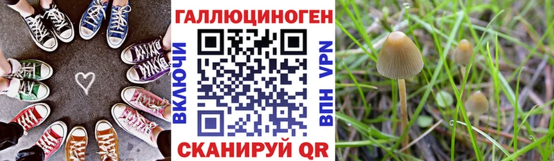 Купить где  Шумерля  Галлюциногенные грибы мицелий 