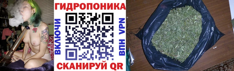 Купить где  Шумерля  Каннабис планчик 